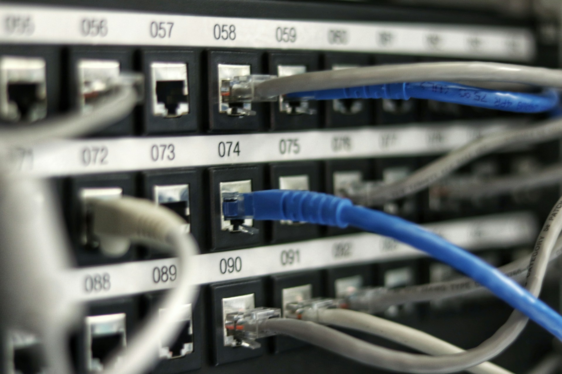 Patchfeld eines Netzwerkverteilers mit nummerierten Ports und gesteckten Kabeln