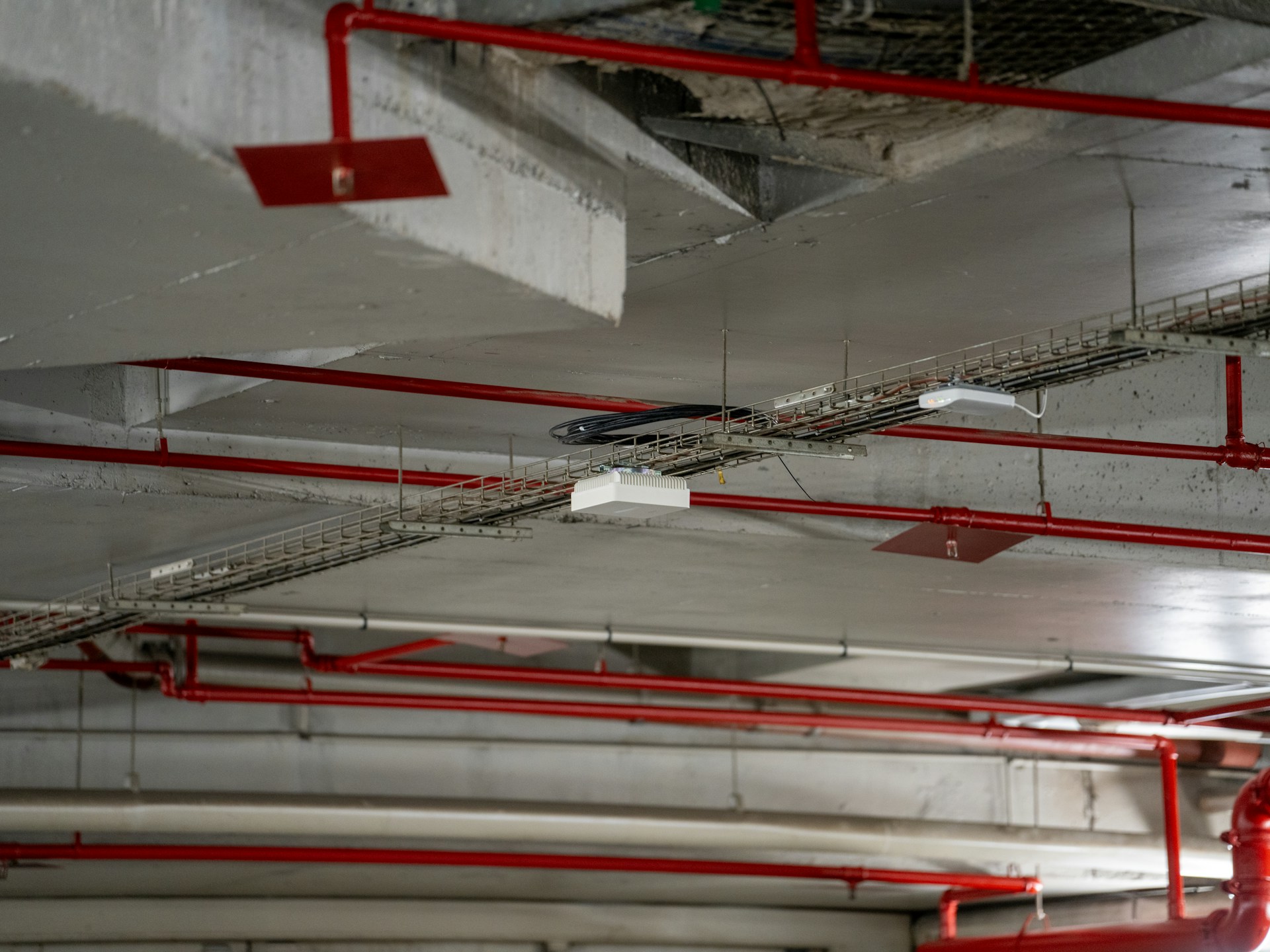 Rote Sprinklerleitungen und Kabeltrassen unter einer Betondecke